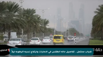 ضباب محتمل.. تفاصيل حالة الطقس في الإمارات وارتفاع نسبة الرطوبة ليلاً